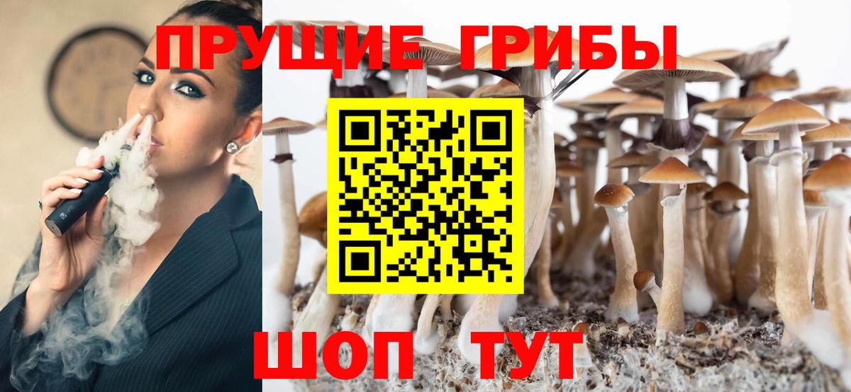 Псилоцибиновые грибы GOLDEN TEACHER Псков